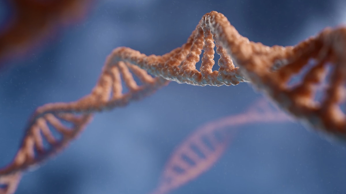 View our DNA testing for Ancestry services