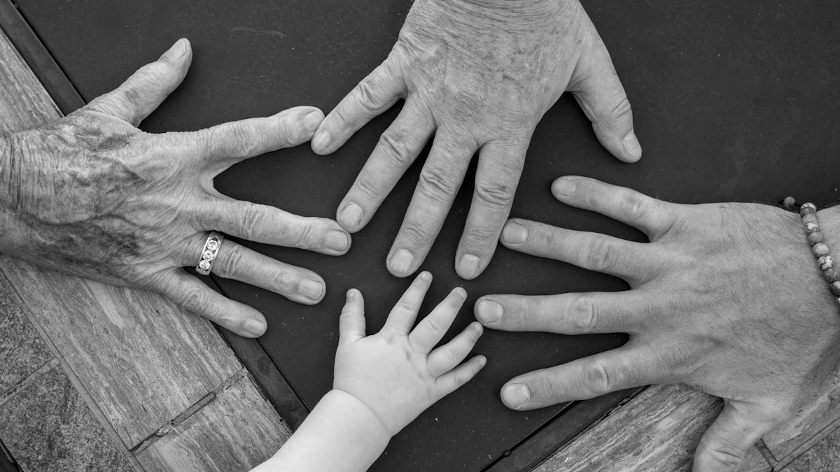 Online Family Tree Software services